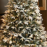 Clover Deluxe Flocked Pine