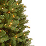 pre lit winnie spruce tree
