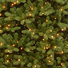 pre lit winnie spruce tree