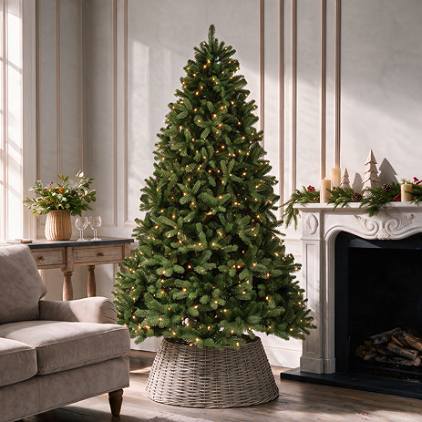 Pre-Lit Winnie - 6.5ft Fir Christmas Tree - Warm White