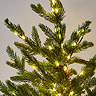 close up on green branches of forest fir tree in a pot, with glowing warm white LEDs