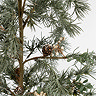 Neve Natural Feel Tree with light