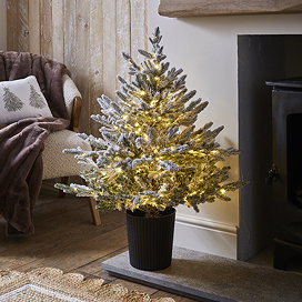 pre-lit snow-dusted small christmas tree in a black pot, stood on the hearth