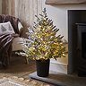 pre-lit snow-dusted small christmas tree in a black pot, stood on the hearth