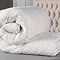 Premium Filled Goose Feather & Down 10.5 Tog Duvet carousel image