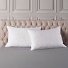 Premium Filled Pillow Pair carousel image