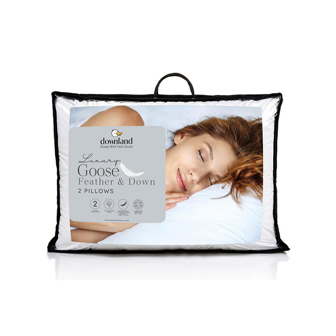 Premium Filled Pillow Pair carousel image