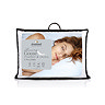 Premium Filled Pillow Pair carousel image