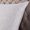 Premium Filled Pillow Pair carousel image