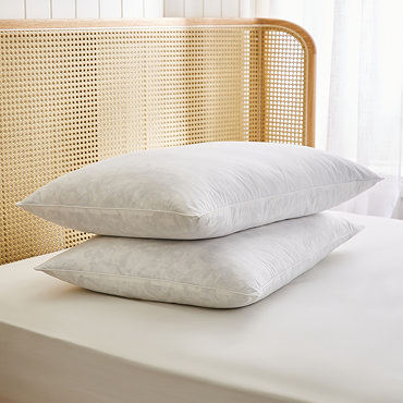 Premium Filled Pillow Pair carousel image