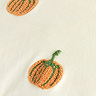 Pumpkin Spice Cushion Texture