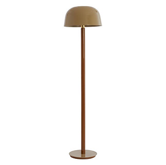 image cut out on white background of retro brown floor lamp