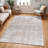 image of brown vintage inspired rug with floral detail in earthy colours