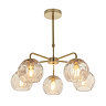 cut out image of dimpled glass champagne coloured ceiling light