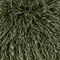 Rowan Khaki image 3