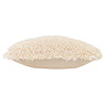 Rowan Natural Feather Cushion image