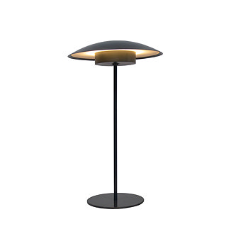image cut out on white background of tall thin table lamp in dark grey