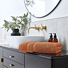 Signum Amber towel