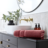 Signum rouge towel image