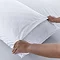 Silentnight Body Support Pillow close up image 3