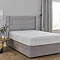 wide image of mattress protector atop a mattress on a bed with purple headboard