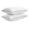 two hotel style pillows stacked on top of each other, cut out on white background