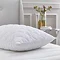 Quilted Duck Feather and Down pillow on bed image 1