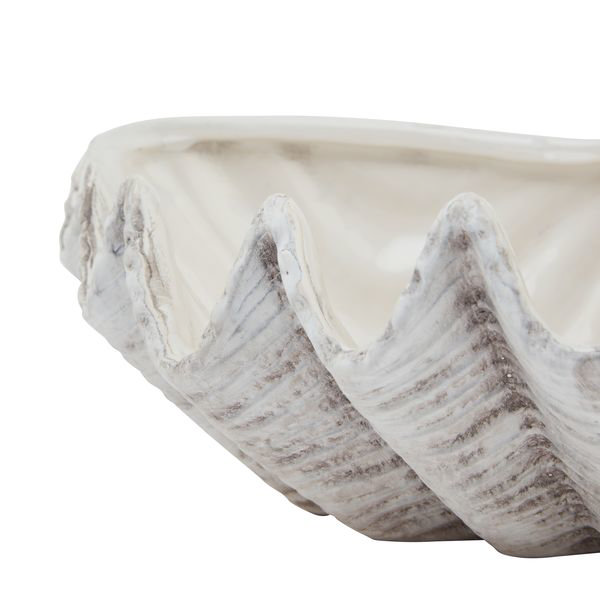 shell image 2