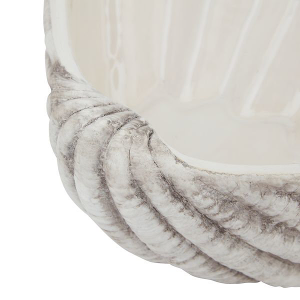 shell image 3