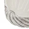 shell image 3