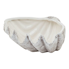 shell image 1
