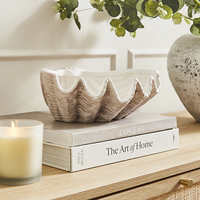 Shell Shaped display bowl on shelf