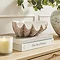 Shell Shaped display bowl on shelf