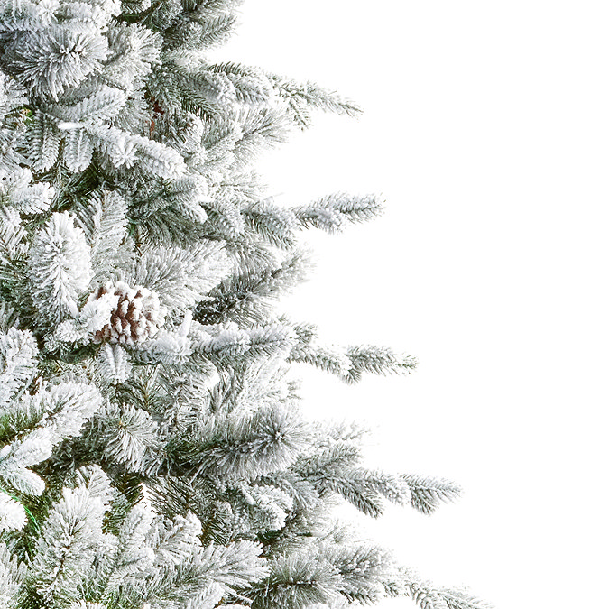 Snowy Ambrose Pine Tree