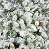 Snowy Ambrose Pine Tree