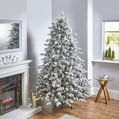 Snowy Ambrose tree