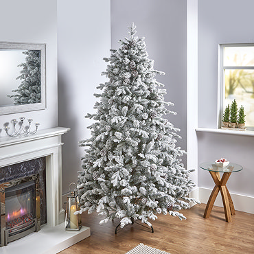 Snowy Ambrose Pine Tree