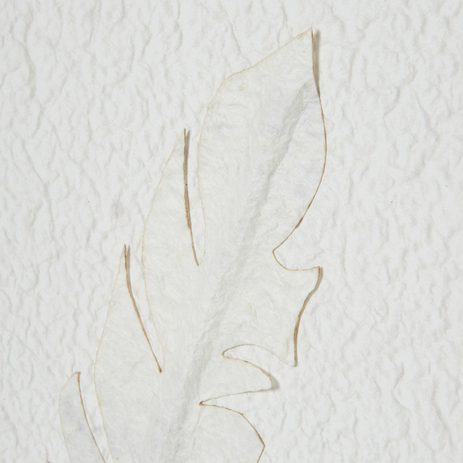 Solli White Feathers art mounted in beaded frame
