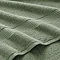 Bay Leaf image 3