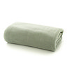 The Big One Sage Throw image