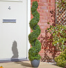 image of tall topiary twirl tree in grey pot, on open porch of a red brick house