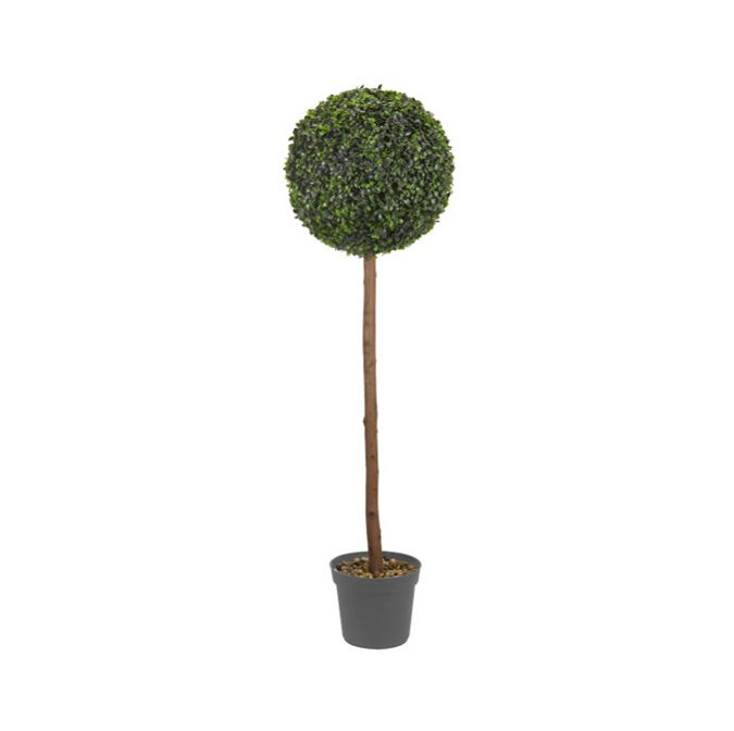 image cut out on white background of 120cm tall ball topiary tree in black pot