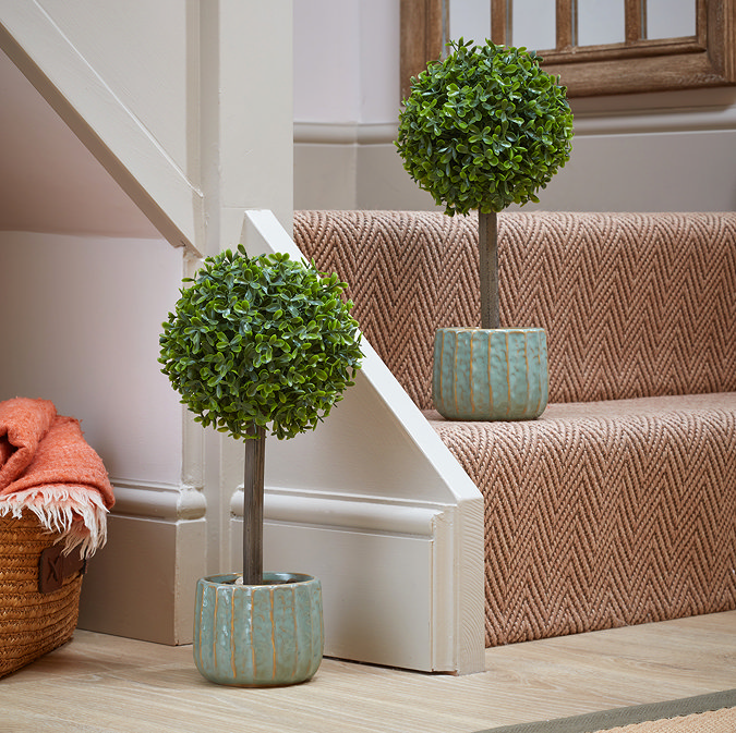 image of two topiary trees in green ceramic pots, 35cm tall sat at the bottom of some stairs