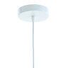 image cut out on white background of ceiling fixture of hanging light shade