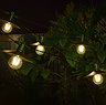 image of large spaceship-style outdoor lights hanging on a large plant