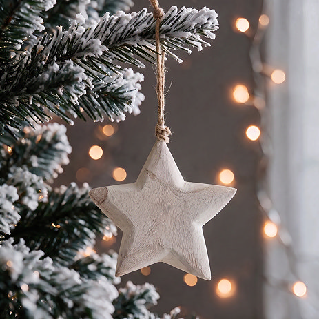 rustic hanging a star