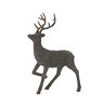 Reindeer