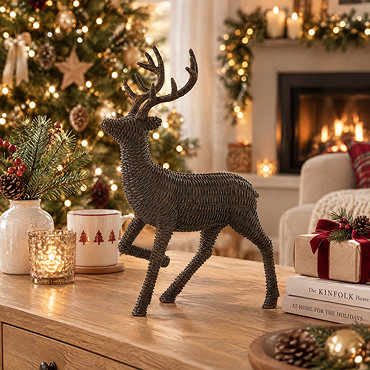 Reindeer