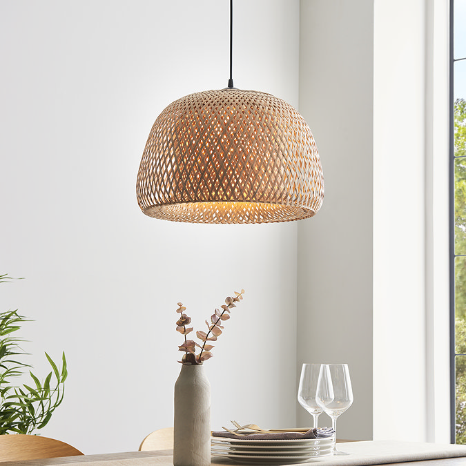 Wren ceiling pendant light image