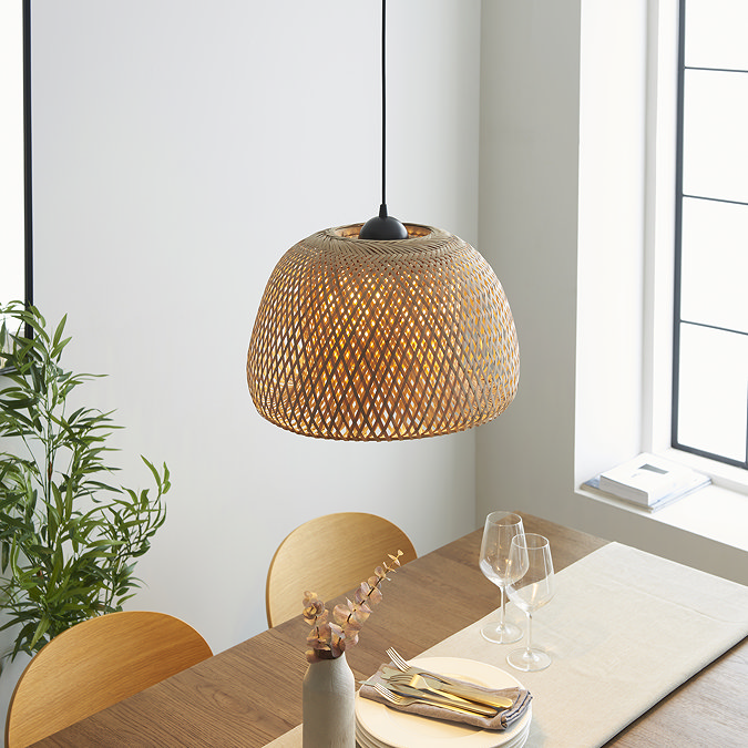 Wren ceiling pendant light image